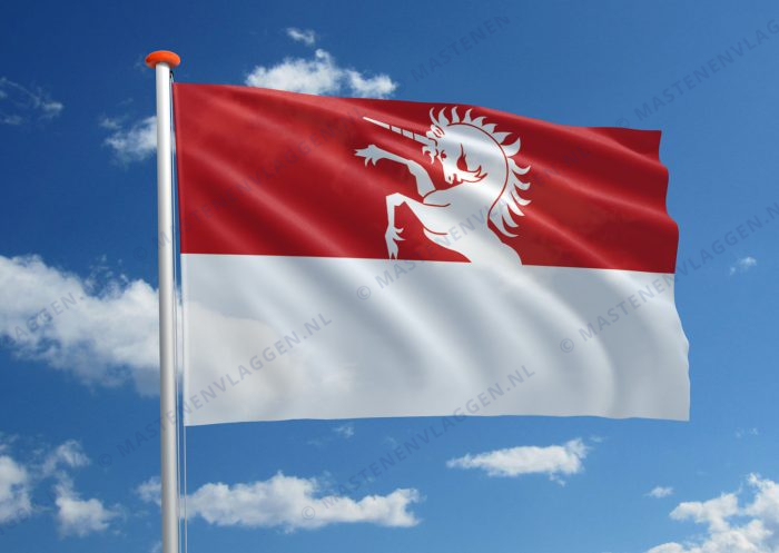 Vlag Kruibeke