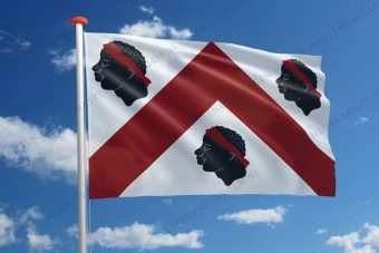 Vlag Lennik