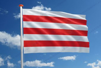 Vlag Lier