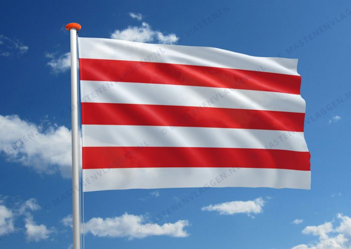 Vlag Lier