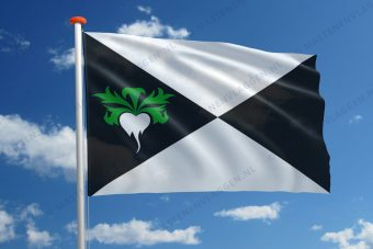 Vlag Lokeren