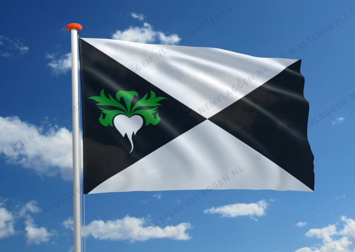 Vlag Lokeren