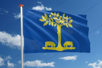 Vlag Lommel