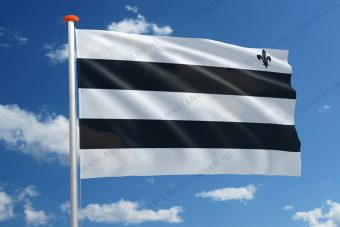 Vlag Meerhout