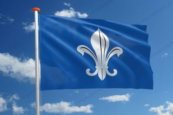 Vlag Mesen