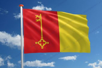 Vlag Mol