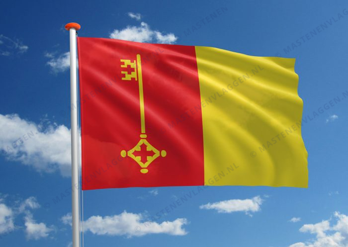 Vlag Mol