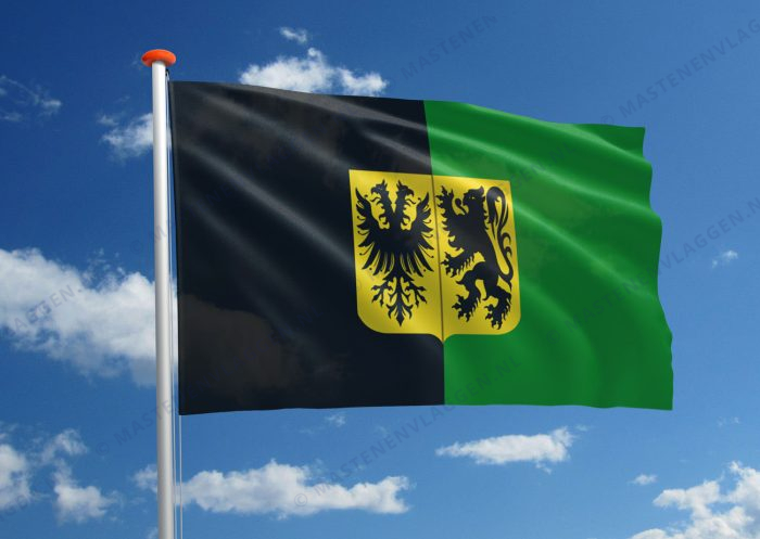 Vlag Ninove