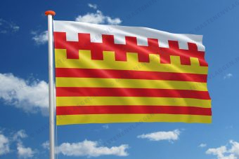 Vlag Pelt