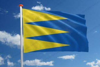 Vlag Ravels