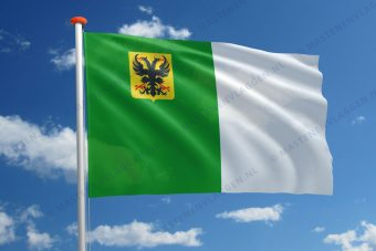 Vlag Ronse