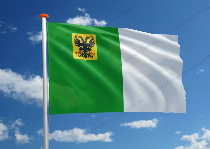Vlag Ronse