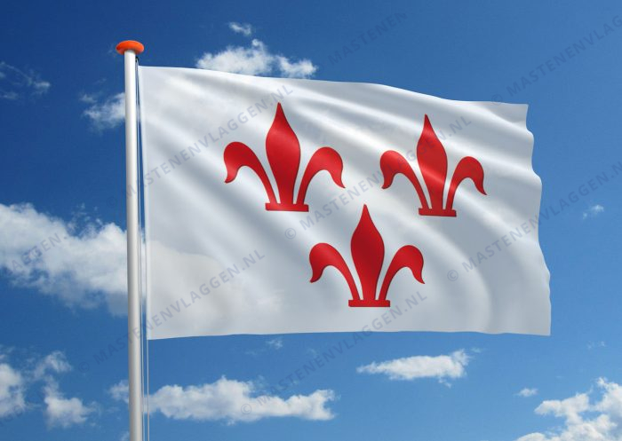 Vlag Rotselaar