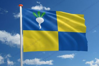 Vlag Sint-Gillis-Waas