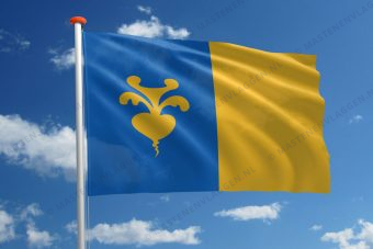 Vlag Sint-Niklaas