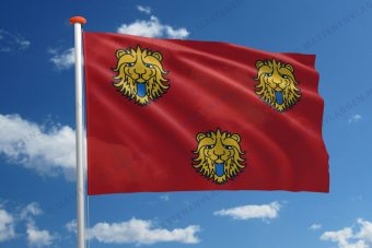 Vlag Staden