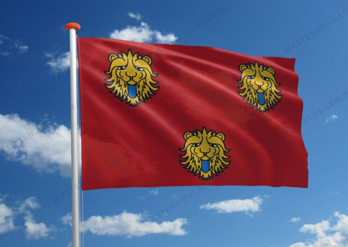 Vlag Staden