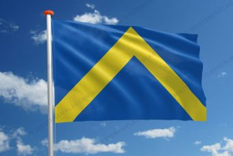 Vlag Ternat