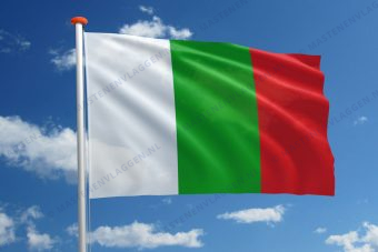 Vlag Tielt-Winge