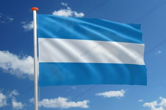 Vlag Tienen