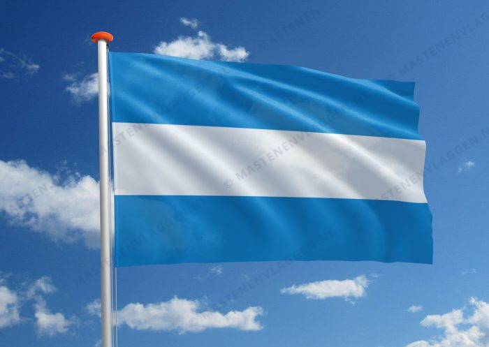 Vlag Tienen
