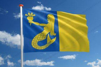 Vlag Waasmunster