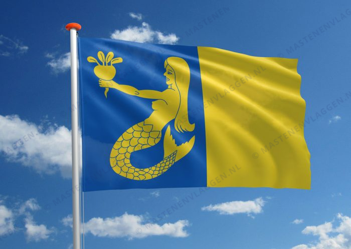 Vlag Waasmunster