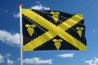 Vlag Wijnegem