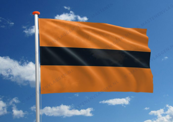 Vlag Willebroek
