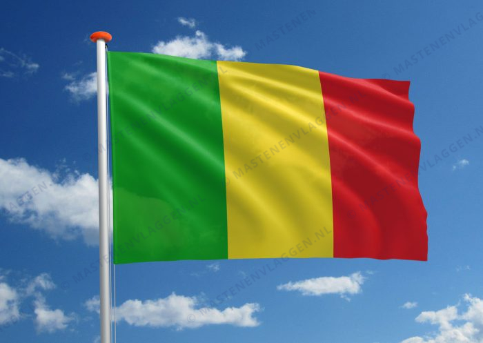 Vlag Zele