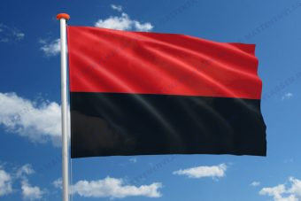 Vlag Zoutleeuw
