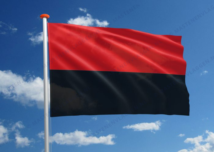 Vlag Zoutleeuw