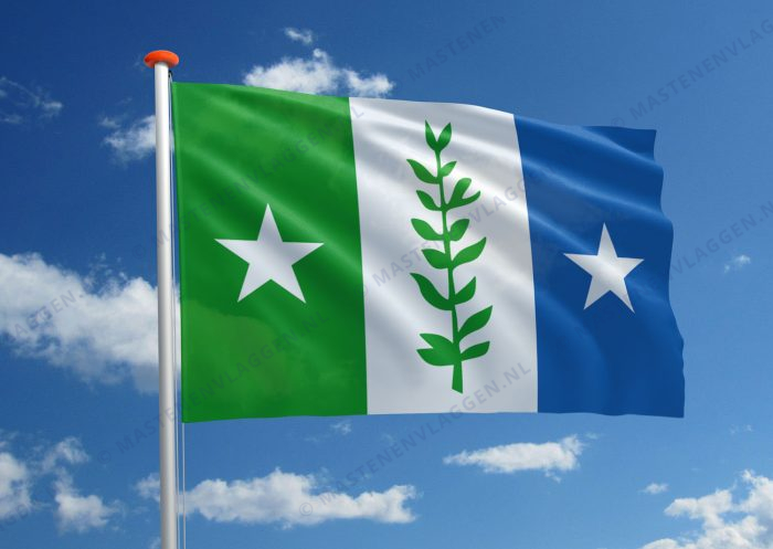 Vlag Zwijndrecht