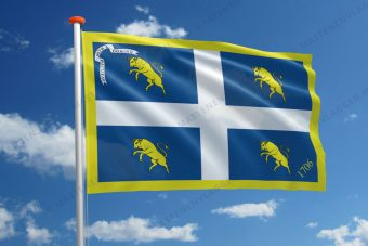 Vlag Turijn
