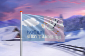 Thema vlaggen