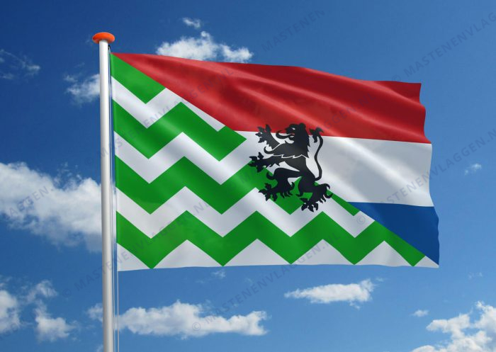 Duovlag