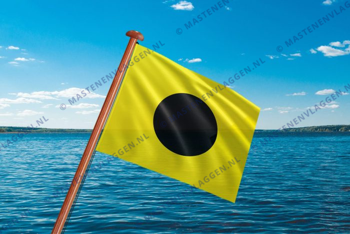 Seinvlag India