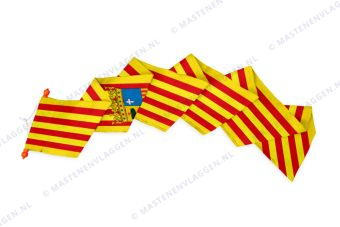 Streekwimpel Aragón