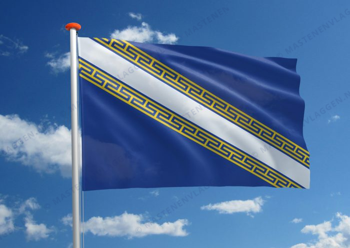 Streekvlag Champagne-Ardenne (OUD)