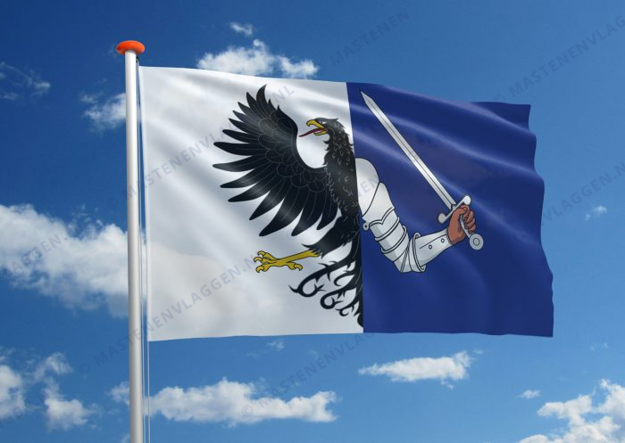 Streekvlag Connacht