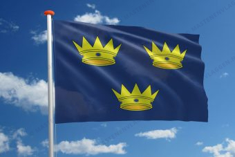 Streekvlag Munster