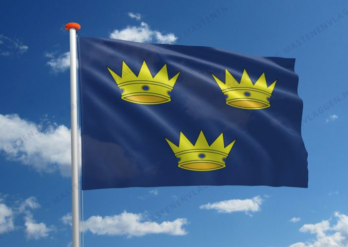 Streekvlag Munster