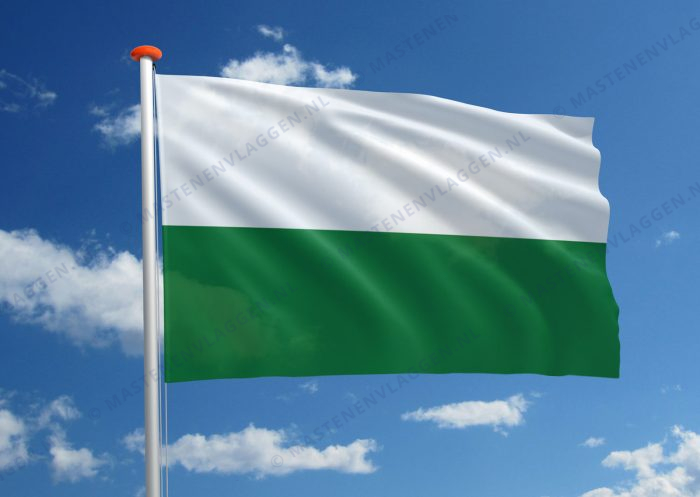 Streekvlag Saksen