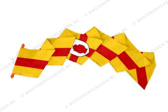 Streekwimpel Ulster