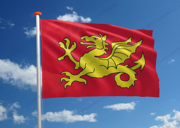 Streekvlag Wessex