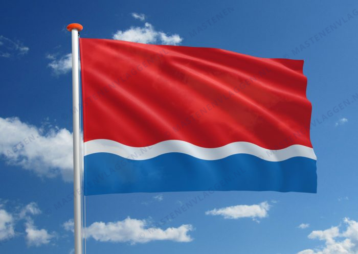 Streekvlag Amoer