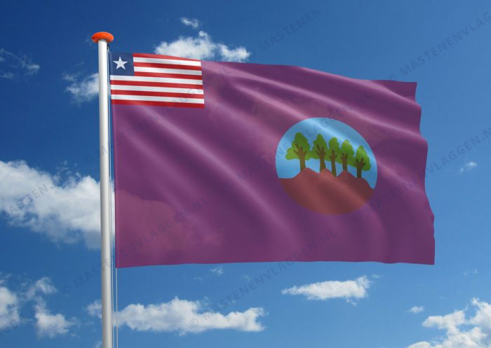 Streekvlag Bomi