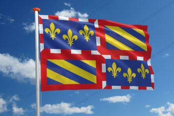 Streekvlag Bourgondië