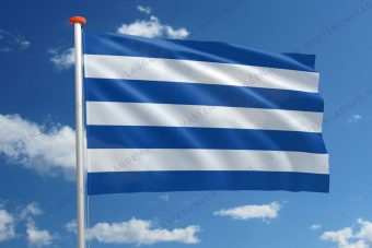 Streekvlag Cerro Largo