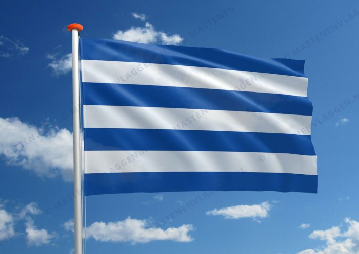Streekvlag Cerro Largo